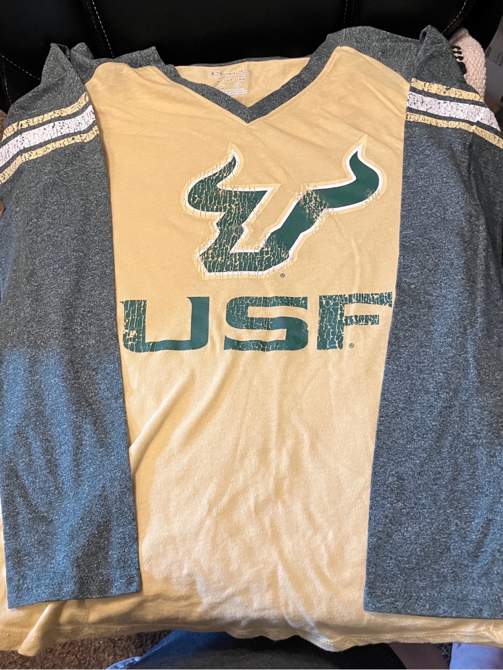 USF University of South Florida Bulls MEDIUM Gold&Gray 
Champion Distressed